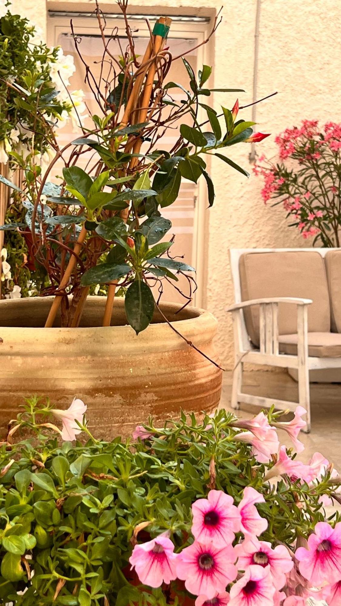 Dimora Donna Vitalia Apartments Τράπανι Εξωτερικό φωτογραφία